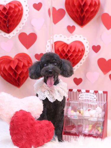 20240217梅ちゃん